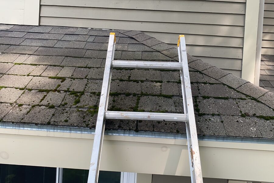 Gutter Cleaning
